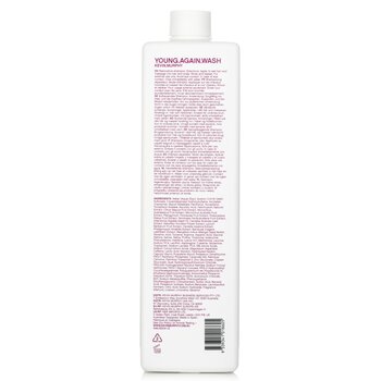 Kevin.Murphy - Young.Again.Wash (Immortelle and Baobab Infused Restorative Softening Shampoo - To Dry Brittle Hair) Image 2