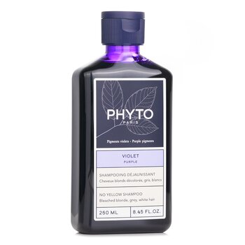 Phyto - PhytoArgent No Yellow Shampoo (Gray, White, Bleached Hair) Image 1