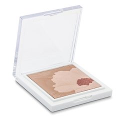 צבע פנים # 04 Plum Poppy (Unboxed, GWP Packaging)