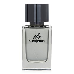 burberry mr burberry edt 3.3 fl oz