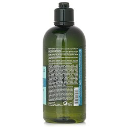 L'Occitane Aromachologie Purifying Freshness Shampoo (Normal to Oily Hair)  300ml/10.1oz 300ml/10.1oz