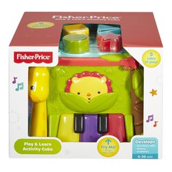 Fisher Price Brand baby learning toys Play & Learn Activity Cube