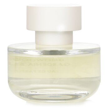 Elvis + Elvin - Rose & Muguet Eau De Parfum Spray Image 2