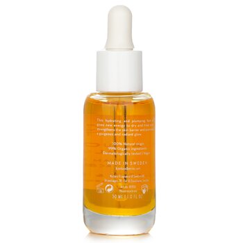 Bjork & Berries - Sea Buckthorn+ Algae Instant Glow Face Oil Image 2