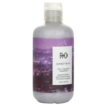 R+Co - Sunset Blvd Daily Blonde Shampoo Image 1