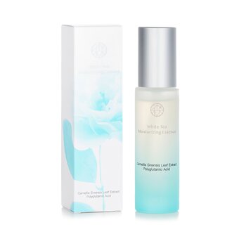 mori beauty by Natural Beauty - White Tea Moisturizing Essence Image 1