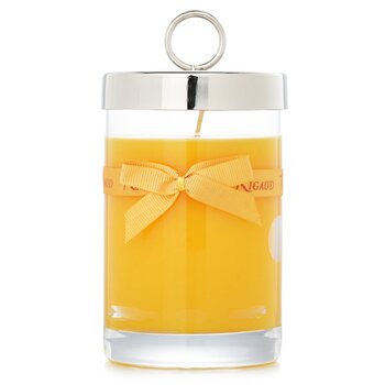 Rigaud - Scented Candle - # Tournesol  - 230g/8.11 oz