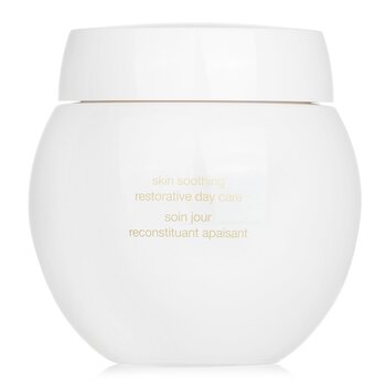 Helena Rubinstein - Re-Plasty Age Recovery Day Cream Image 2