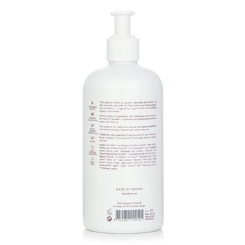 Bjork & Berries - White Forest Hand & Body Lotion Image 2