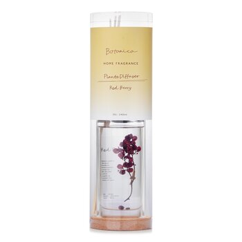 Botanica - Home Fragrance Plante Diffuser - Red Berry  - 145ml/4.9oz