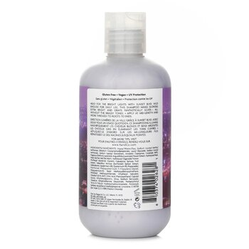 R+Co - Sunset Blvd Daily Blonde Shampoo Image 2