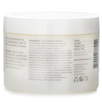 Better Not Younger - Hair Redemption Restorative Butter Masque Image 2