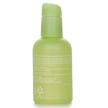 Abib - Heartleaf Essence Calming Pump Image 2