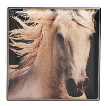 Chantecaille - Matte Eye Shade - # Palomino Image 2