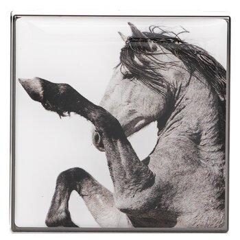 Chantecaille - Luminescent Eye Shade - # Pinto Image 2