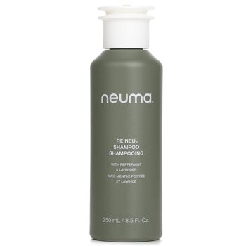 Re Neu Shampoo (250ml/8.5oz) 