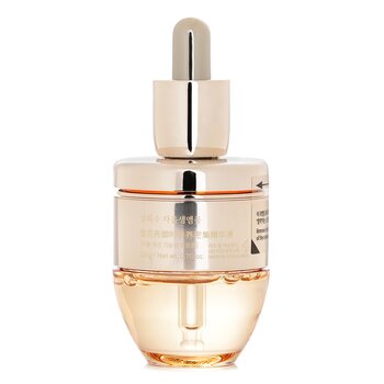 Sulwhasoo - Concentrated Ginseng Rescue Ampoule Image 2