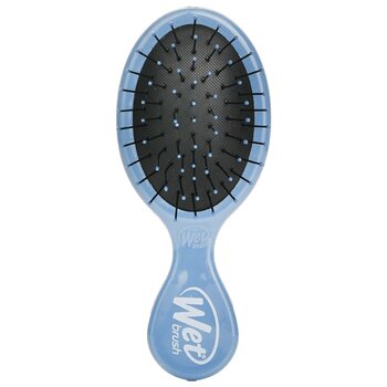 Wet Brush - Mini Detangler Sky Hair Brush Image 1
