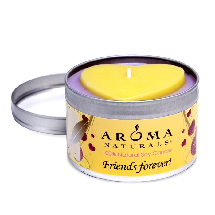 天然香氛 Aroma Naturals Aroma Naturals 100%天然大豆香薰蜡烛(永远的朋友) 6.5ozProduct Thumbnail