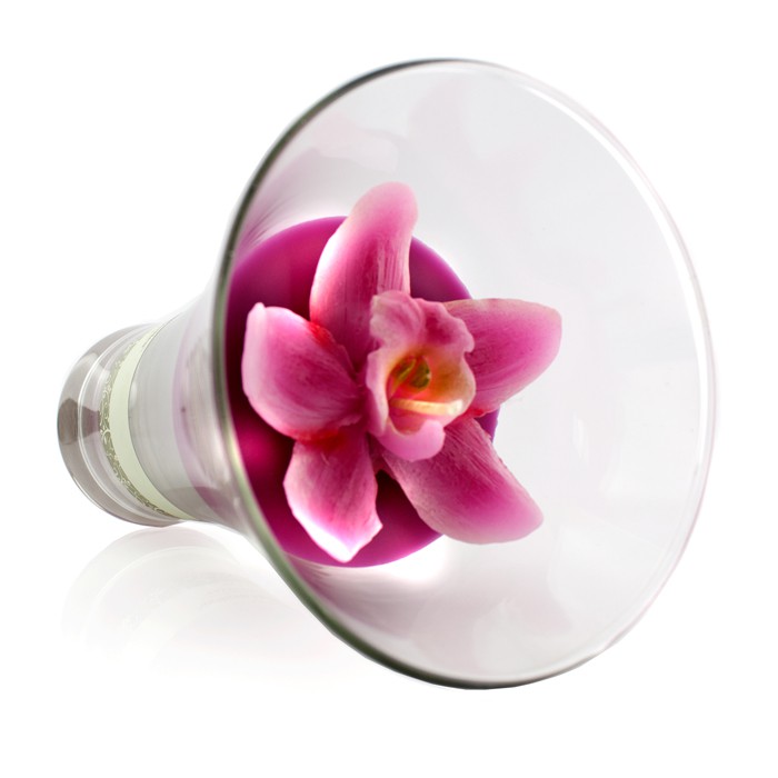 ノーザンライツキャンドルズ Northern Lights Candles Floral Vase Premium Candle - Pink Orchid 5 inchProduct Thumbnail