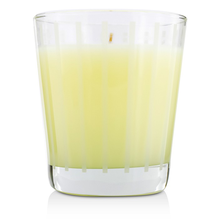 エクセプショナルパフュームス Exceptional Parfums Fragrance Candle - Sensual Vanilla 250g/8.8ozProduct Thumbnail
