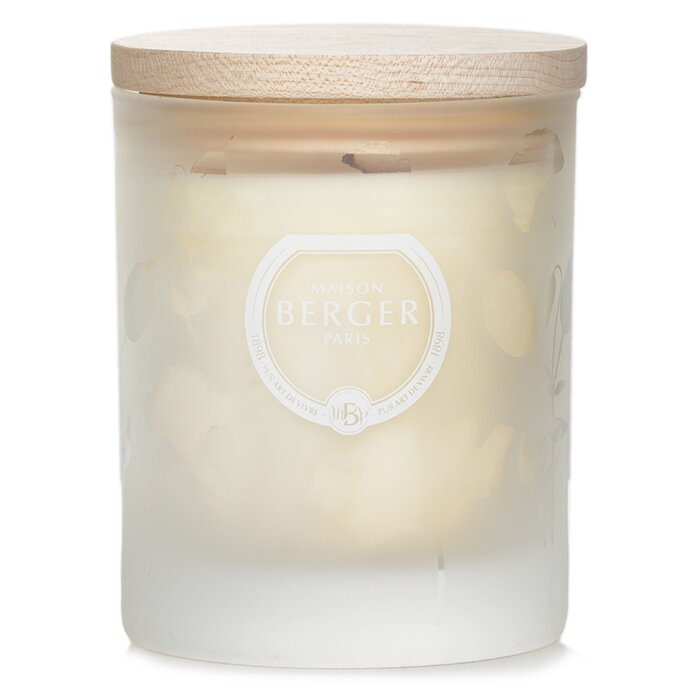 Lampe Berger (Maison Berger Paris) 法國伯格香氛精品 香氛蠟燭Scented Candle - Aroma Relax 180g/6.3ozProduct Thumbnail