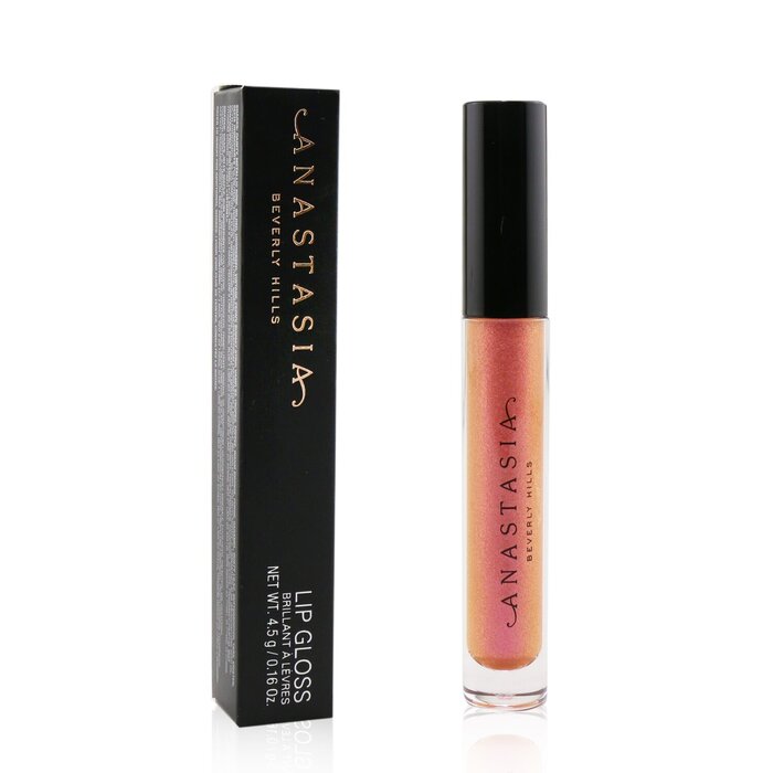 Anastasia Beverly Hills Lip Gloss ליפ גלוס 4.5g/0.16ozProduct Thumbnail