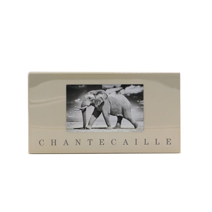 Chantecaille Safari Collection Eye Trio 3x2.3g/0.083ozProduct Thumbnail