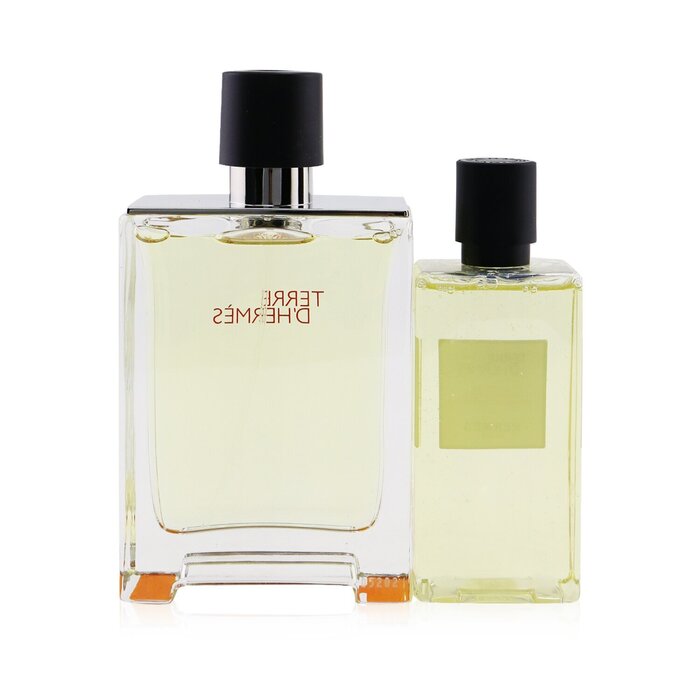 Hermes Terre D' Coffret: Eau De Toilette Spray 100ml/3.3oz + Hair And ...