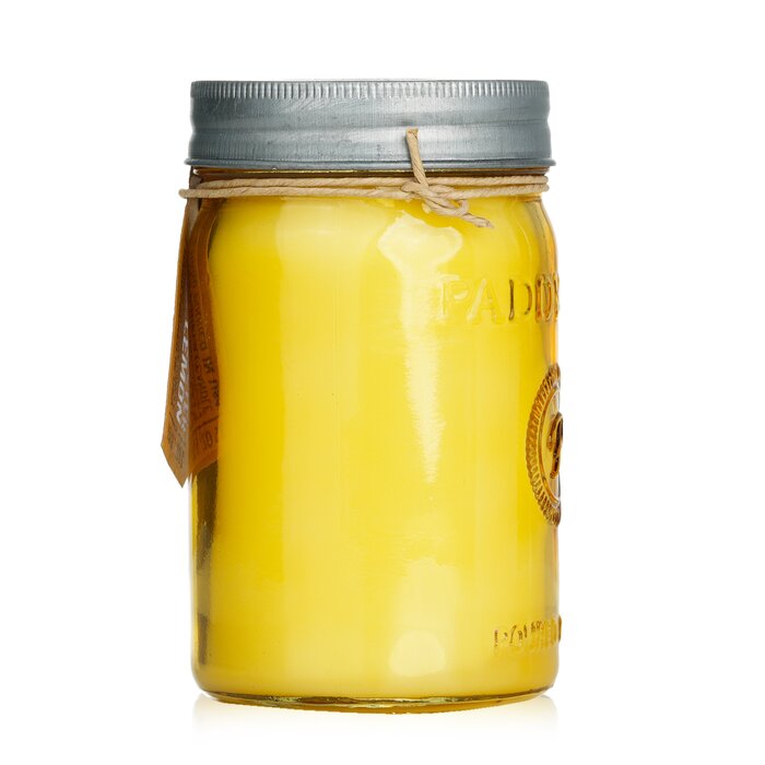 Paddywax Relish Candle - Fresh Meyer Lemon 269g/9.5ozProduct Thumbnail
