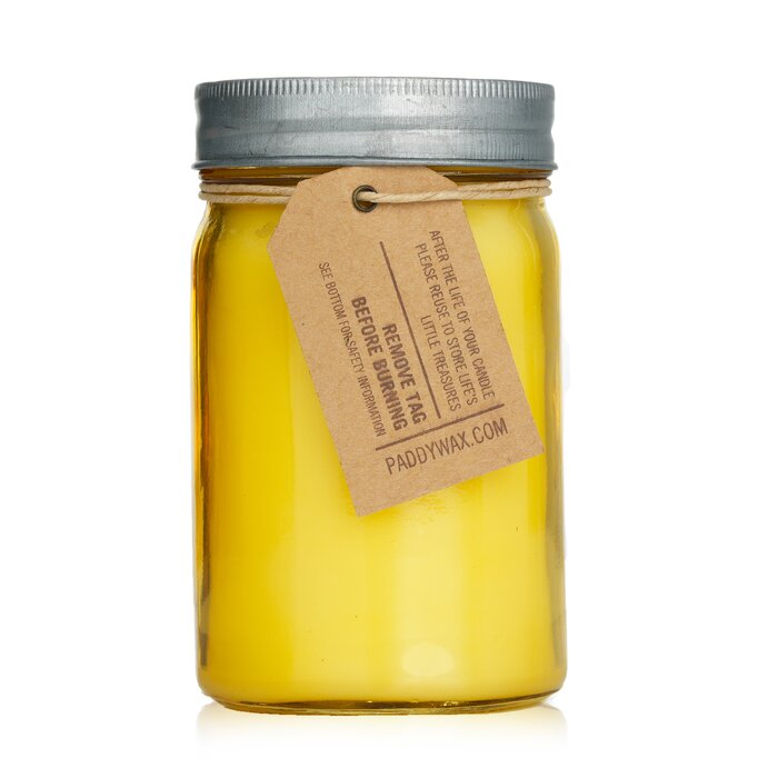 Paddywax Relish Candle - Fresh Meyer Lemon 269g/9.5ozProduct Thumbnail
