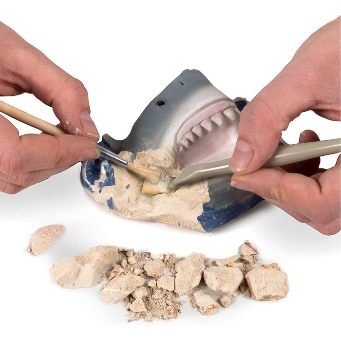 National Geographic 國家地理 鯊魚牙齒化石挖掘套裝 18 x 6 x 25cmProduct Thumbnail