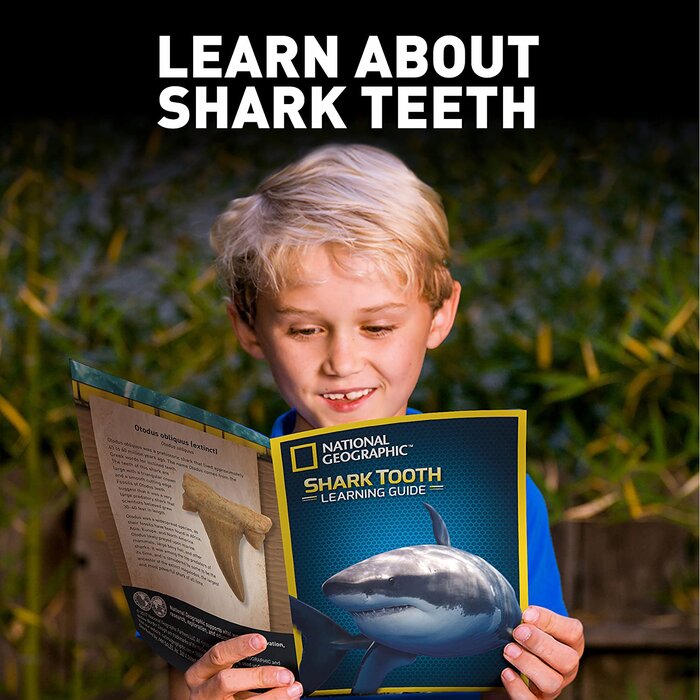 National Geographic مجموعة حفر أسنان سمك القرش من ناشيونال جيوغرافيك 18 x 6 x 25cmProduct Thumbnail