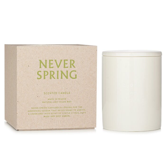 Bjork & Berries - Scented Candle - Never Spring 240g/8.5oz