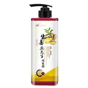 Soapberry - Ginger Soapberry Shampoo  - 500ml