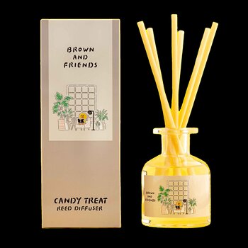 everybody LABO - LINE FRIENDS - SALLY A day at home Reed Diffuser  - 130ml