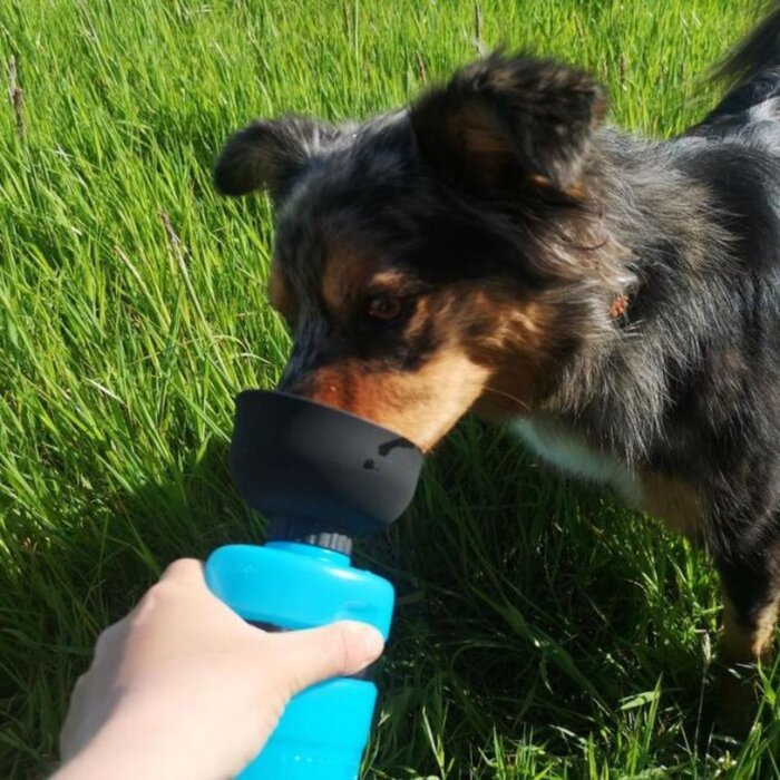 LESOTC LESOTC Portable Pet Water Bottle for Dogs - Blue Product Thumbnail