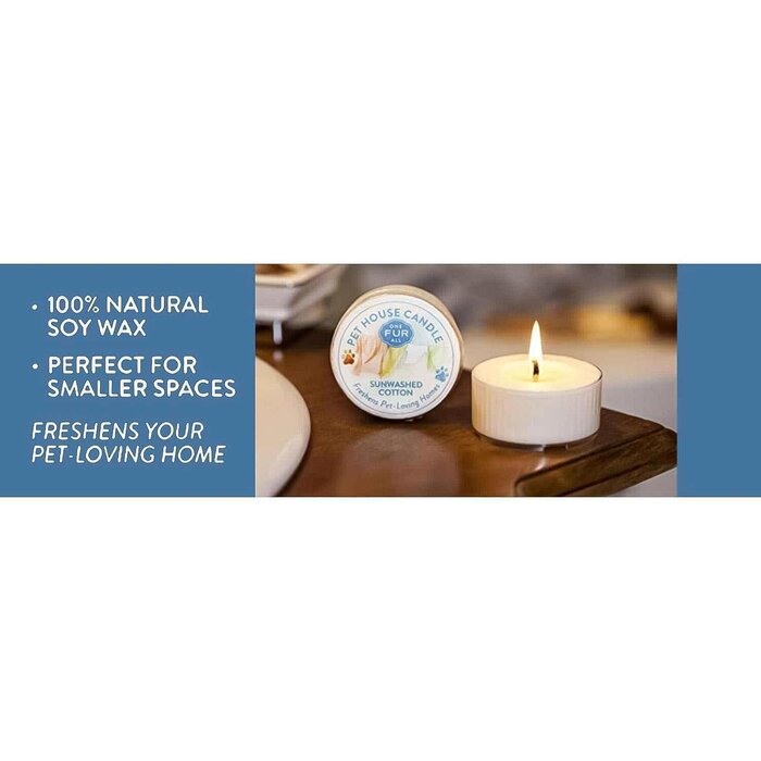 Pet House by One Fur All Pet House Mini Candle (1.5oz) Wildflowers