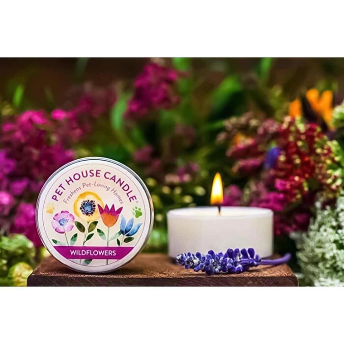 Pet House by One Fur All Pet House Mini Candle (1.5oz) Wildflowers