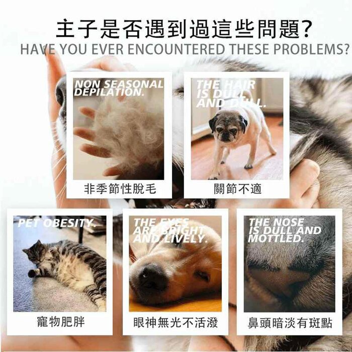 BiologicVet Biofats Omega 369 Fatty Acid 355Ml For Dogs & Cats 355ml