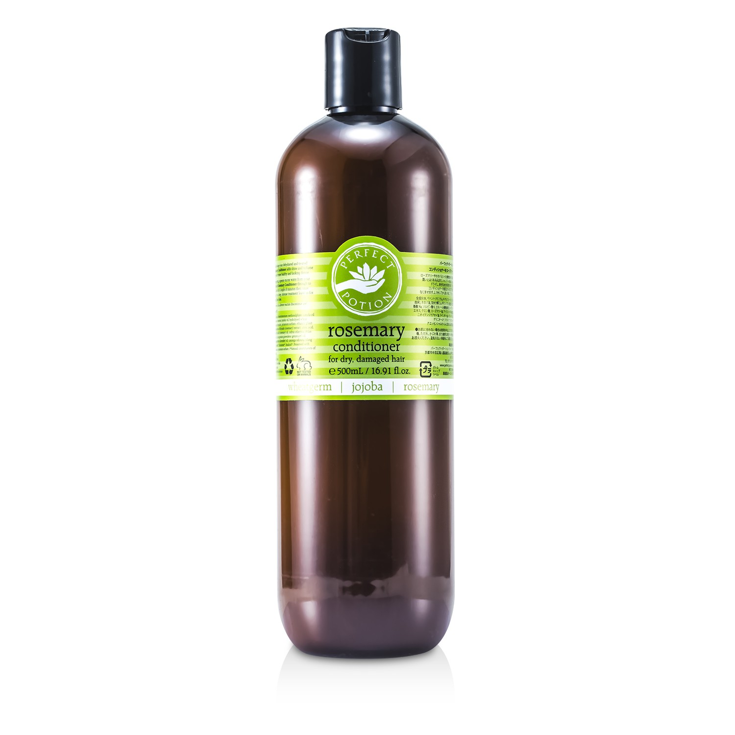 Perfect Potion Rosemary Conditioner (For Dry, Damaged Hair) 500ml/16.91oz