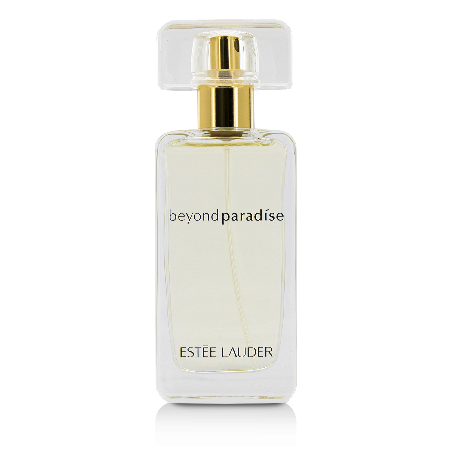 에스티로더 Estee Lauder Beyond Paradise Eau De Parfum Spray (New Packaging) 50ml/1.7oz