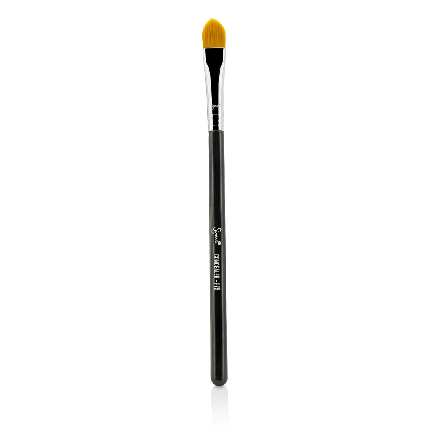 Sigma Beauty F75 Concealer Brush Picture Color