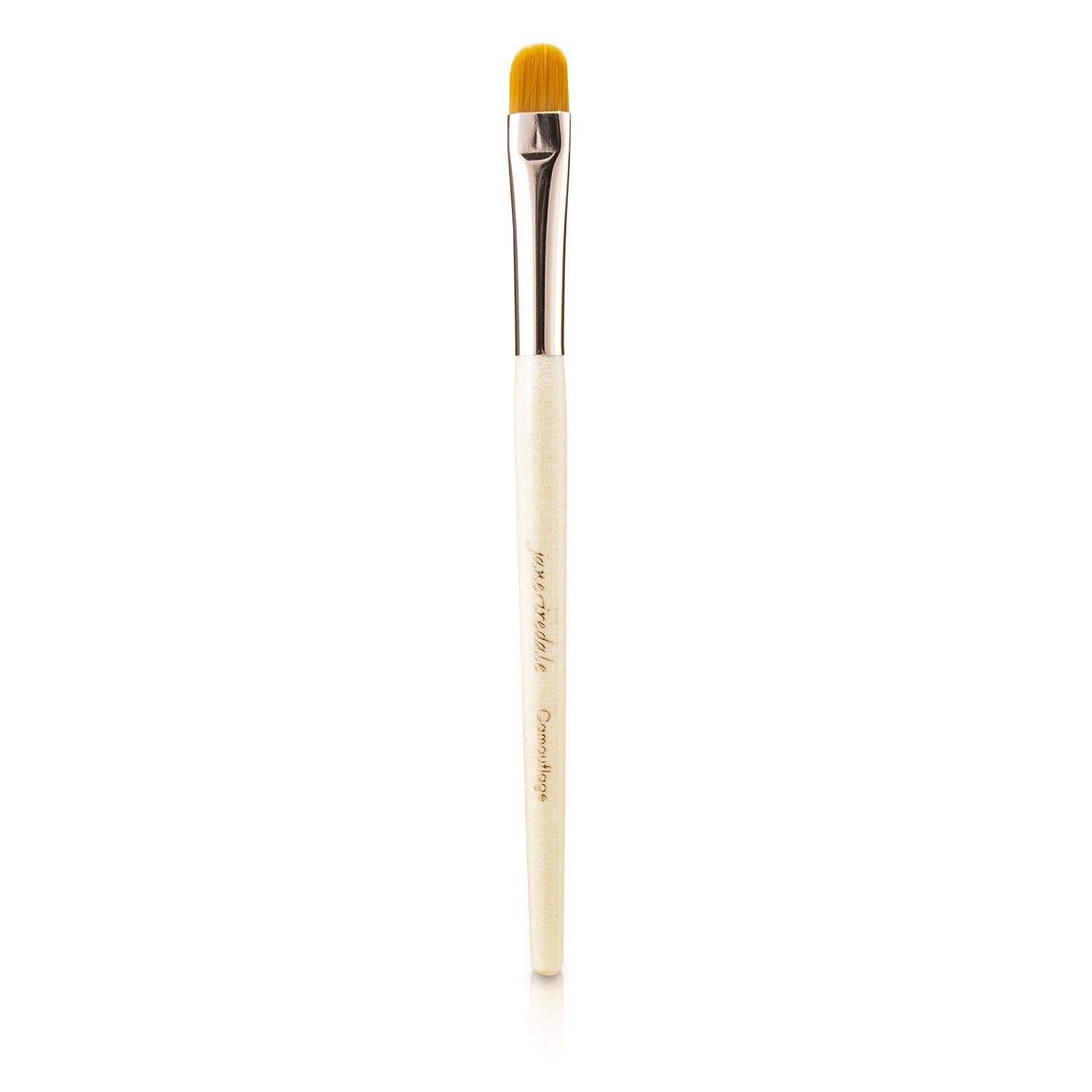 Jane Iredale Camouflage Brush Picture Color
