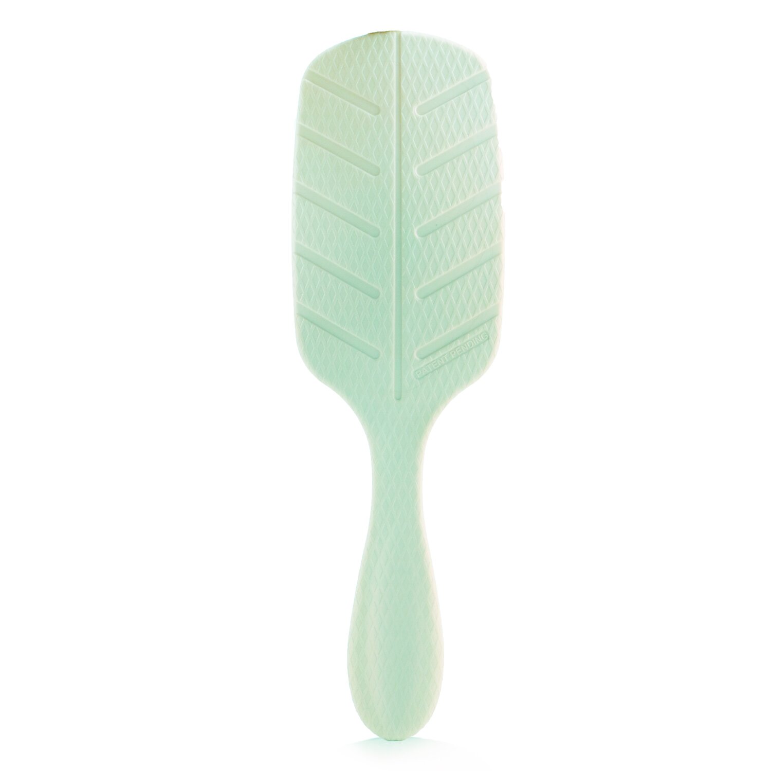 Wet Brush معزز اللمعان المحمل بالزيت Go Green 1pc